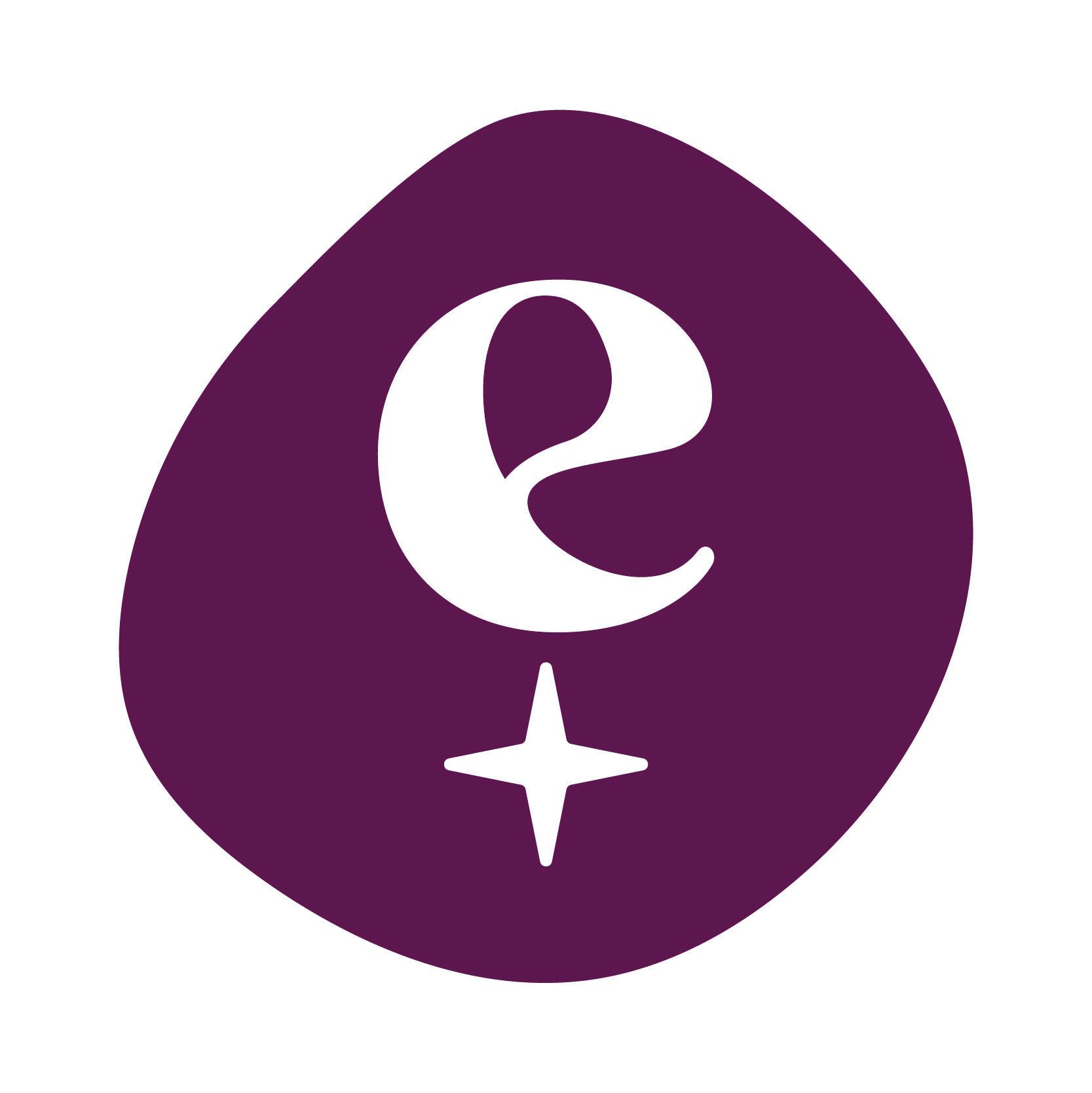 Embarc-SocialIcon-Plum – Embarc
